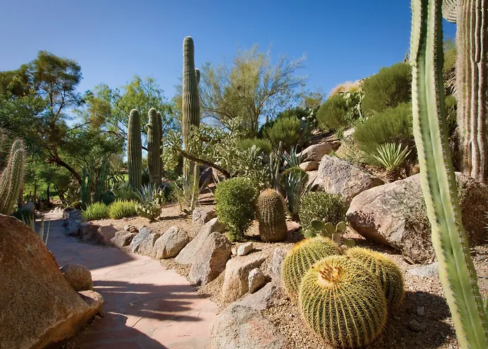 The Canyon Suites At The Phoenician, A Luxury Collection Resort, Scottsdale